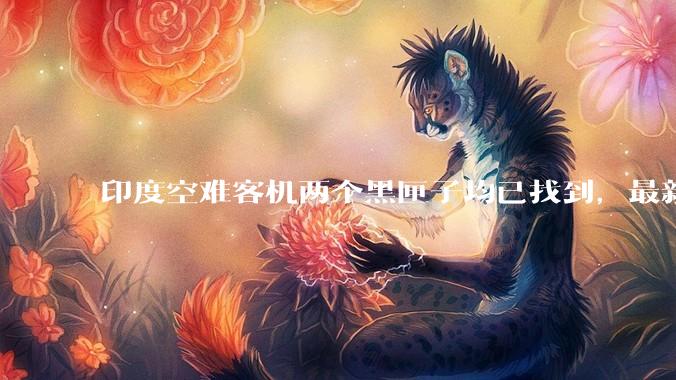 印度空难客机两个黑匣子均已找到，最新发现的为驾驶舱语音记录器，会对事故调查带来哪些帮助？