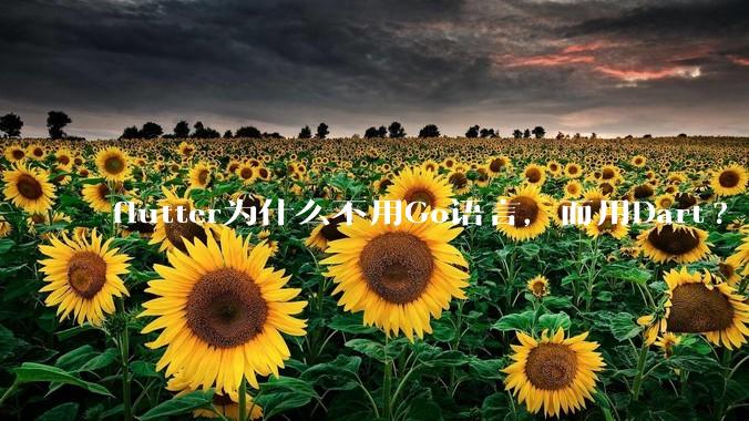 flutter为什么不用Go语言，而用Dart?
