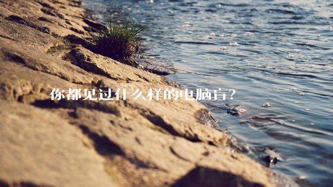 你都见过什么样的电脑盲？
